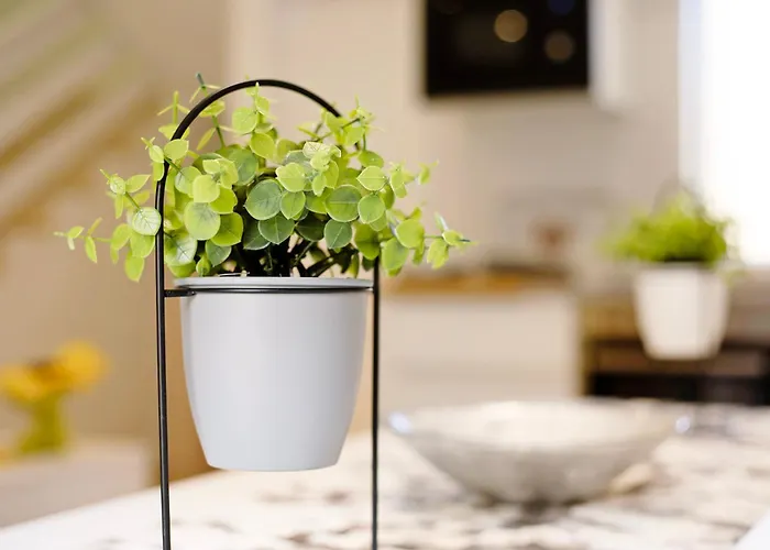 Casa Relax アパート